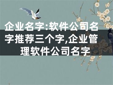 企业名字:软件公司名字推荐三个字,企业管理软件公司名字