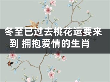 冬至已过去桃花运要来到 拥抱爱情的生肖