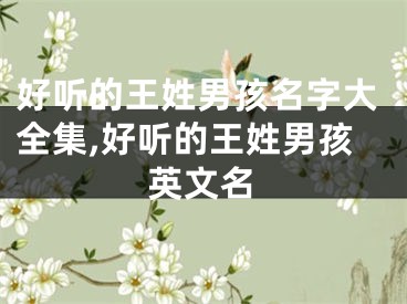 好听的王姓男孩名字大全集,好听的王姓男孩英文名