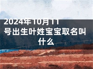 2024年10月11号出生叶姓宝宝取名叫什么