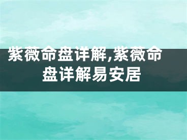 紫薇命盘详解,紫薇命盘详解易安居