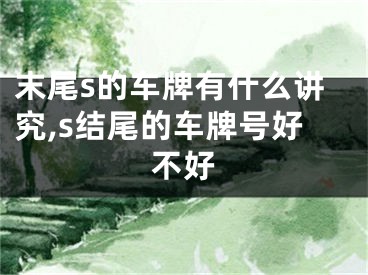 末尾s的车牌有什么讲究,s结尾的车牌号好不好
