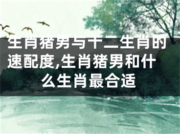 生肖猪男与十二生肖的速配度,生肖猪男和什么生肖最合适