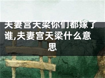 夫妻宫天梁你们都嫁了谁,夫妻宫天梁什么意思