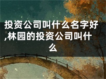投资公司叫什么名字好,林园的投资公司叫什么