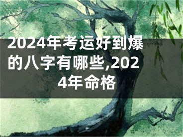 2024年考运好到爆的八字有哪些,2024年命格