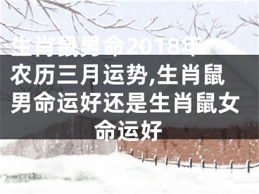 生肖鼠男命2018年农历三月运势,生肖鼠男命运好还是生肖鼠女命运好