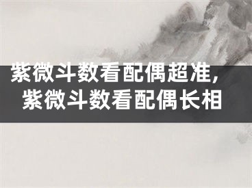 紫微斗数看配偶超准,紫微斗数看配偶长相