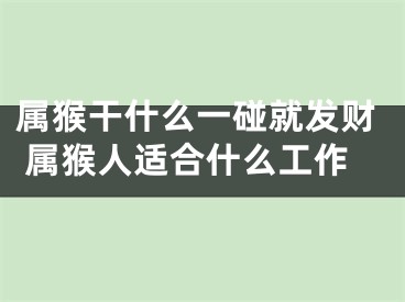 属猴干什么一碰就发财 属猴人适合什么工作