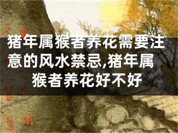 猪年属猴者养花需要注意的风水禁忌,猪年属猴者养花好不好