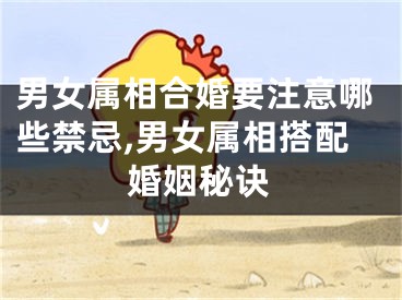 男女属相合婚要注意哪些禁忌,男女属相搭配婚姻秘诀