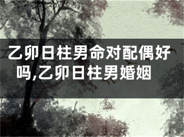 乙卯日柱男命对配偶好吗,乙卯日柱男婚姻