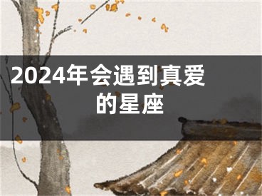 2024年会遇到真爱的星座