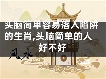 头脑简单容易落入陷阱的生肖,头脑简单的人好不好