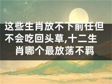 这些生肖放不下前任但不会吃回头草,十二生肖哪个最放荡不羁