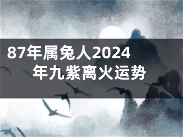 87年属兔人2024年九紫离火运势