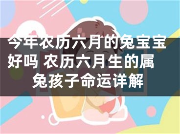 今年农历六月的兔宝宝好吗 农历六月生的属兔孩子命运详解