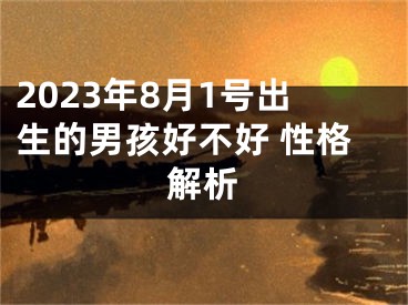 2023年8月1号出生的男孩好不好 性格解析