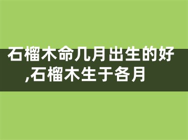 石榴木命几月出生的好,石榴木生于各月