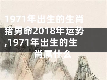 1971年出生的生肖猪男命2018年运势,1971年出生的生肖属什么