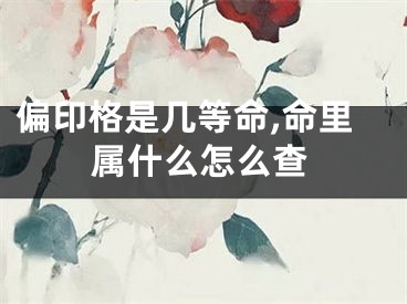 偏印格是几等命,命里属什么怎么查