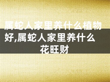 属蛇人家里养什么植物好,属蛇人家里养什么花旺财