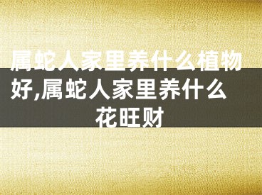 属蛇人家里养什么植物好,属蛇人家里养什么花旺财