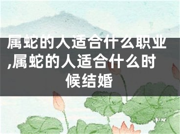 属蛇的人适合什么职业,属蛇的人适合什么时候结婚