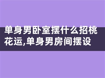 单身男卧室摆什么招桃花运,单身男房间摆设