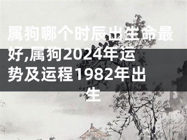 属狗哪个时辰出生命最好,属狗2024年运势及运程1982年出生