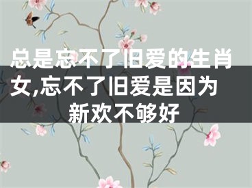 总是忘不了旧爱的生肖女,忘不了旧爱是因为新欢不够好