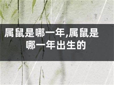 属鼠是哪一年,属鼠是哪一年出生的