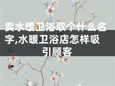 卖水暖卫浴取个什么名字,水暖卫浴店怎样吸引顾客