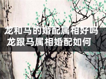 龙和马的婚配属相好吗 龙跟马属相婚配如何