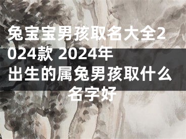 兔宝宝男孩取名大全2024款 2024年出生的属兔男孩取什么名字好