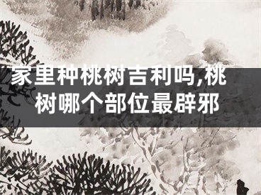 家里种桃树吉利吗,桃树哪个部位最辟邪
