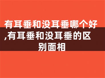 有耳垂和没耳垂哪个好,有耳垂和没耳垂的区别面相