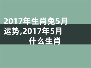 2017年生肖兔5月运势,2017年5月什么生肖