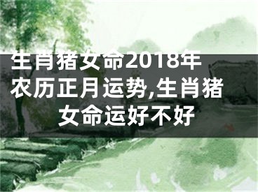 生肖猪女命2018年农历正月运势,生肖猪女命运好不好