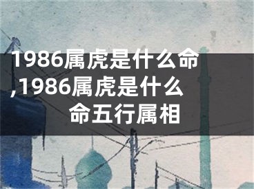 1986属虎是什么命,1986属虎是什么命五行属相
