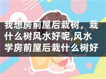 我想房前屋后栽树，栽什么树风水好呢,风水学房前屋后栽什么树好