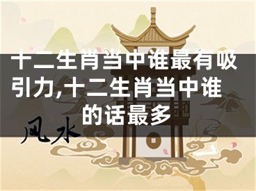 十二生肖当中谁最有吸引力,十二生肖当中谁的话最多