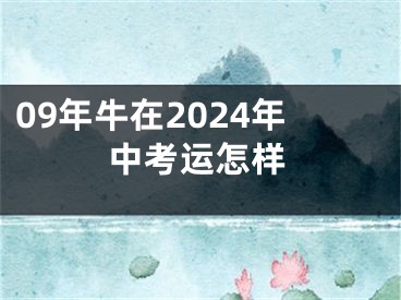 09年牛在2024年中考运怎样