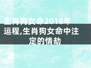 生肖狗女命2018年运程,生肖狗女命中注定的情劫