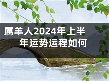 属羊人2024年上半年运势运程如何