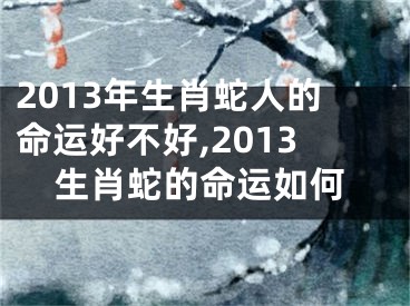 2013年生肖蛇人的命运好不好,2013生肖蛇的命运如何