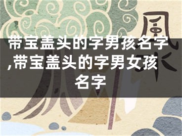 带宝盖头的字男孩名字,带宝盖头的字男女孩名字