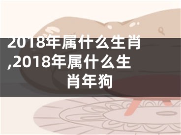 2018年属什么生肖,2018年属什么生肖年狗