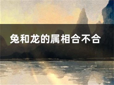 兔和龙的属相合不合