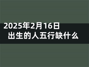 2025年2月16日出生的人五行缺什么